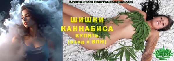 ПСИЛОЦИБИНОВЫЕ ГРИБЫ Балабаново