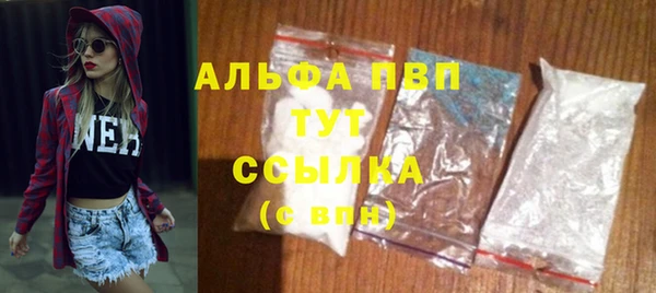 хмурый Бородино